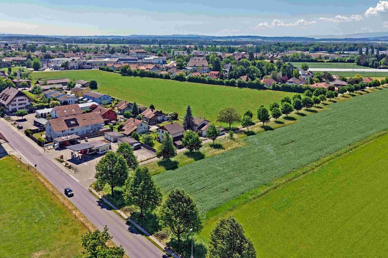 700 m² Bouland mit Ussicht - für Lüt mit Wiitsicht (9)