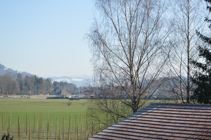 Appartamento moderno 3.5 locali con vista sulla montagna a Hasle b. Burgdorf (15)