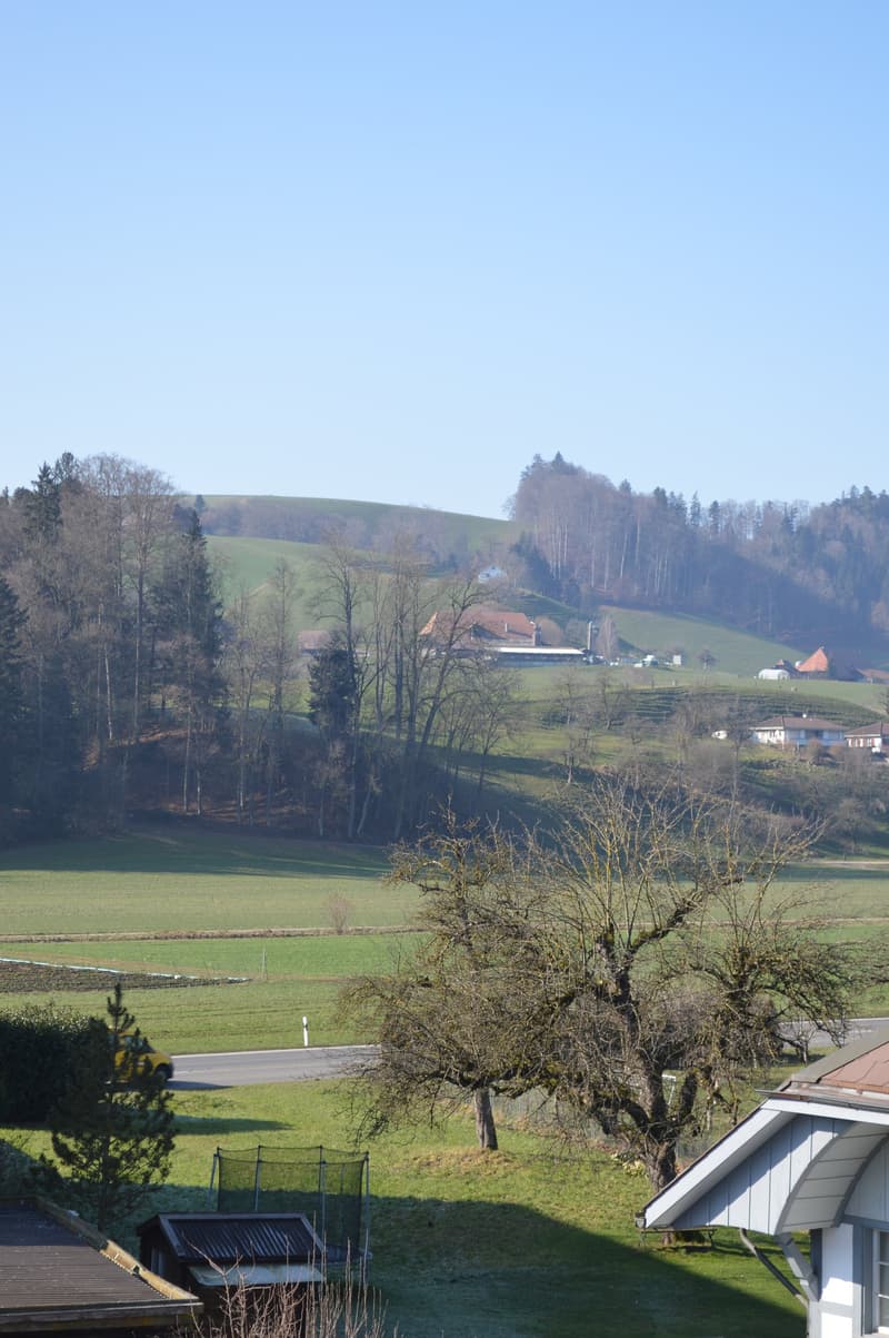 Appartamento moderno 3.5 locali con vista sulla montagna a Hasle b. Burgdorf (9)