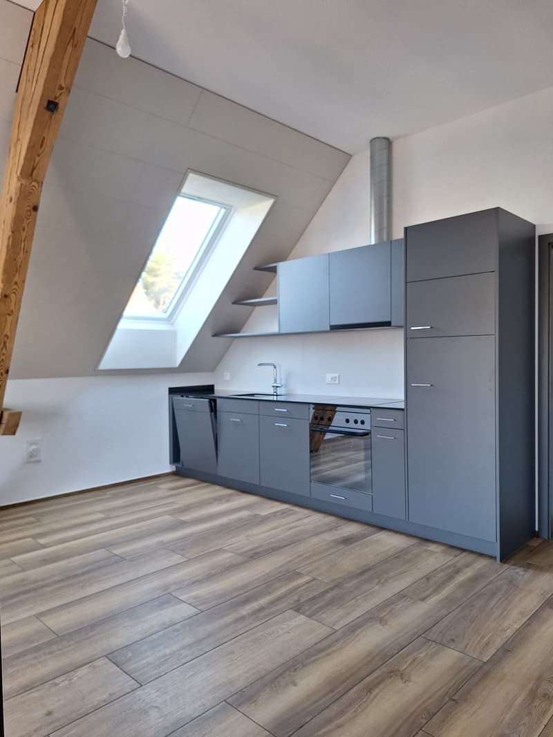 kitchen with wooden floor, gray cabinets, sink, oven, skylight