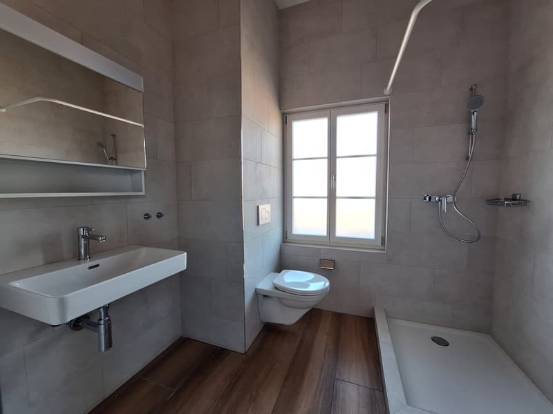 Bathroom with sink, toilet, shower, and mirror