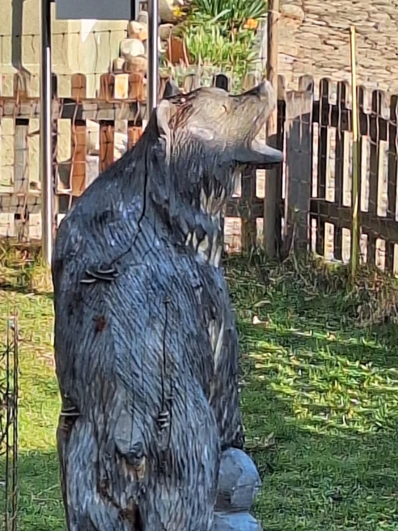 A wooden bear statue in the garden, surrounded by a wooden fence, with a grassy area and some plants.