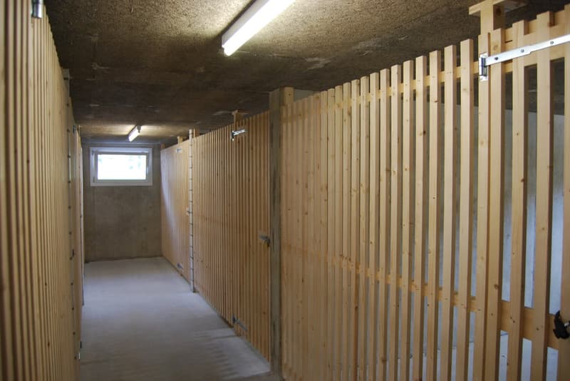Moderne 4.5-Zimmer-Wohnung mit viel Licht im Herzen des Emmentals (17)