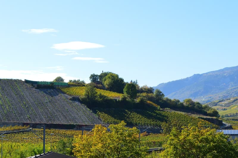 Moderne 3.5-Zimmer-Wohnung mit Bergblick in Salgesch (10)