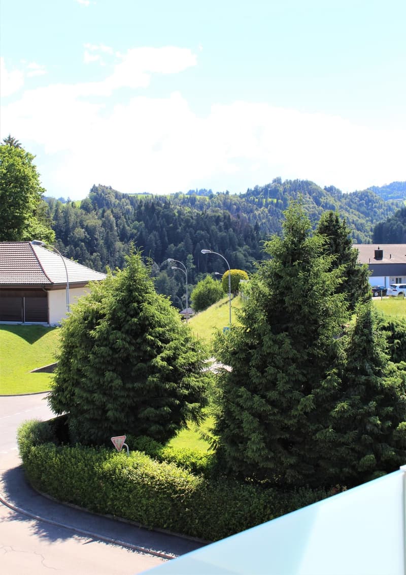Moderne 1.5-Zimmer-Wohnung mit Balkon und schöner Aussicht in Wolhusen (13)