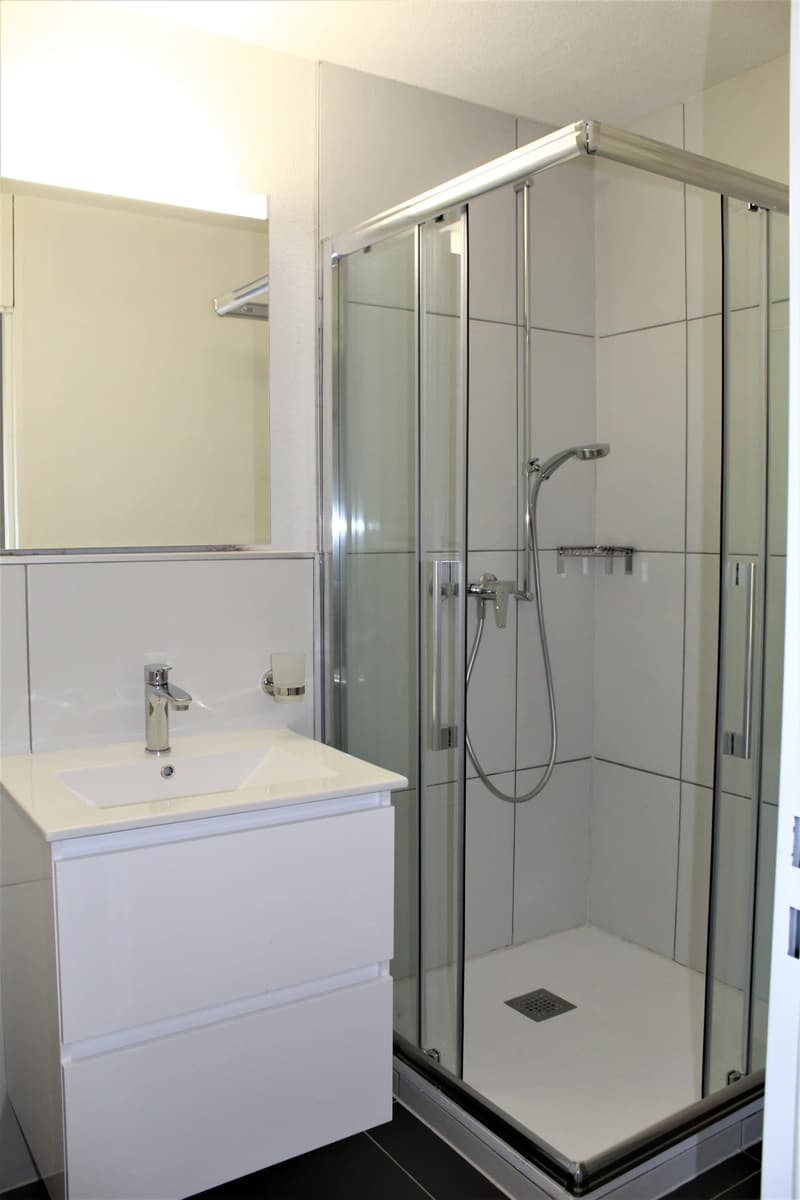 Moderne 1.5-Zimmer-Wohnung mit Balkon und schöner Aussicht in Wolhusen (2)