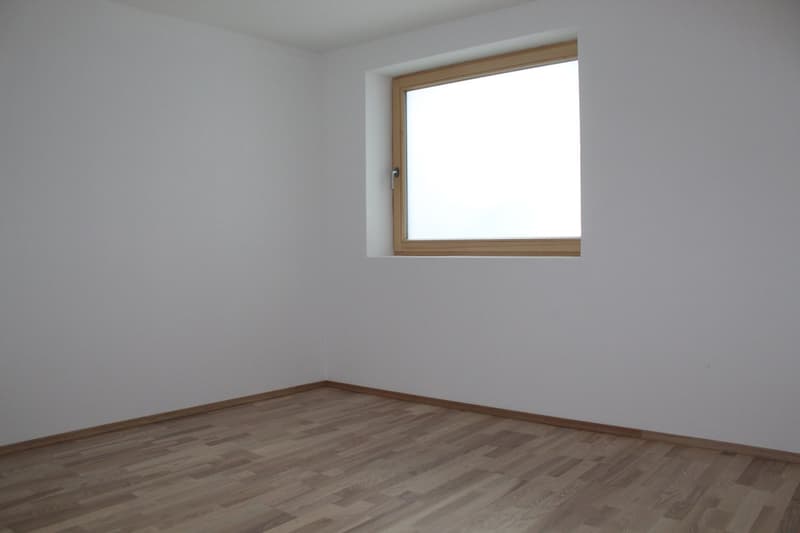 Moderne 2.5-Zimmer-Wohnung in Beinwil am See – Sofort verfügbar! (3)