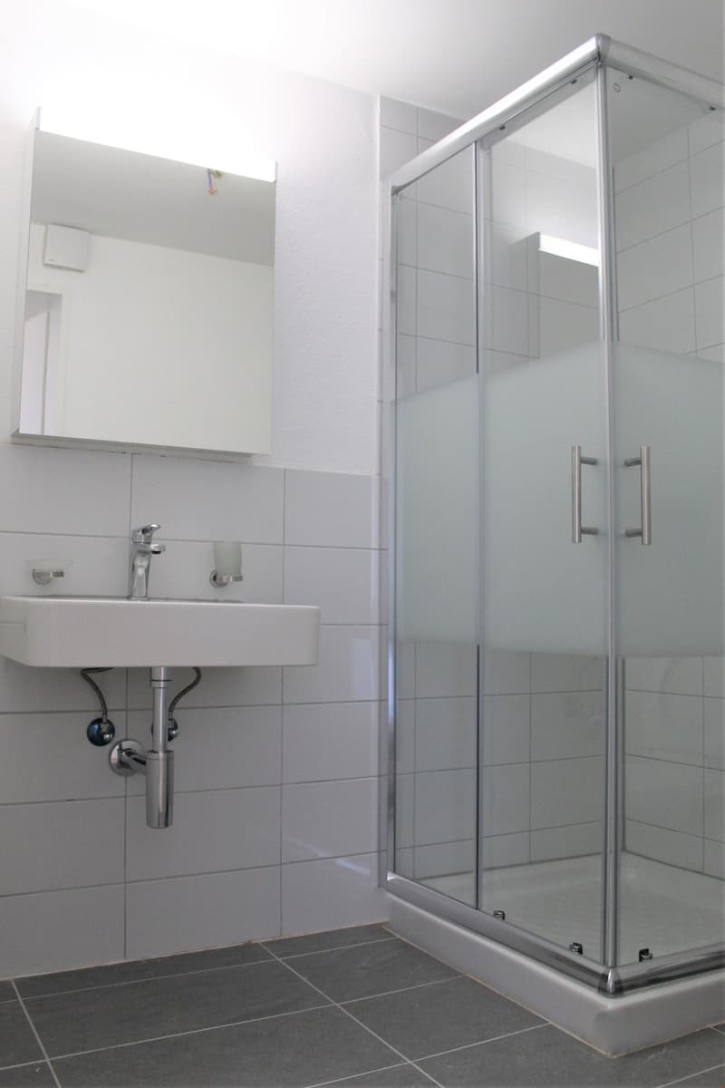 Moderne 2.5-Zimmer-Wohnung in Beinwil am See – Sofort verfügbar! (9)