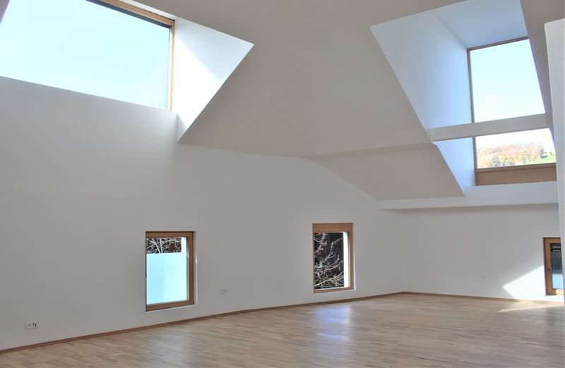 Moderne 4.5-Zimmer-Maisonette-Wohnung in Beinwil am See – sofort verfügbar (1)