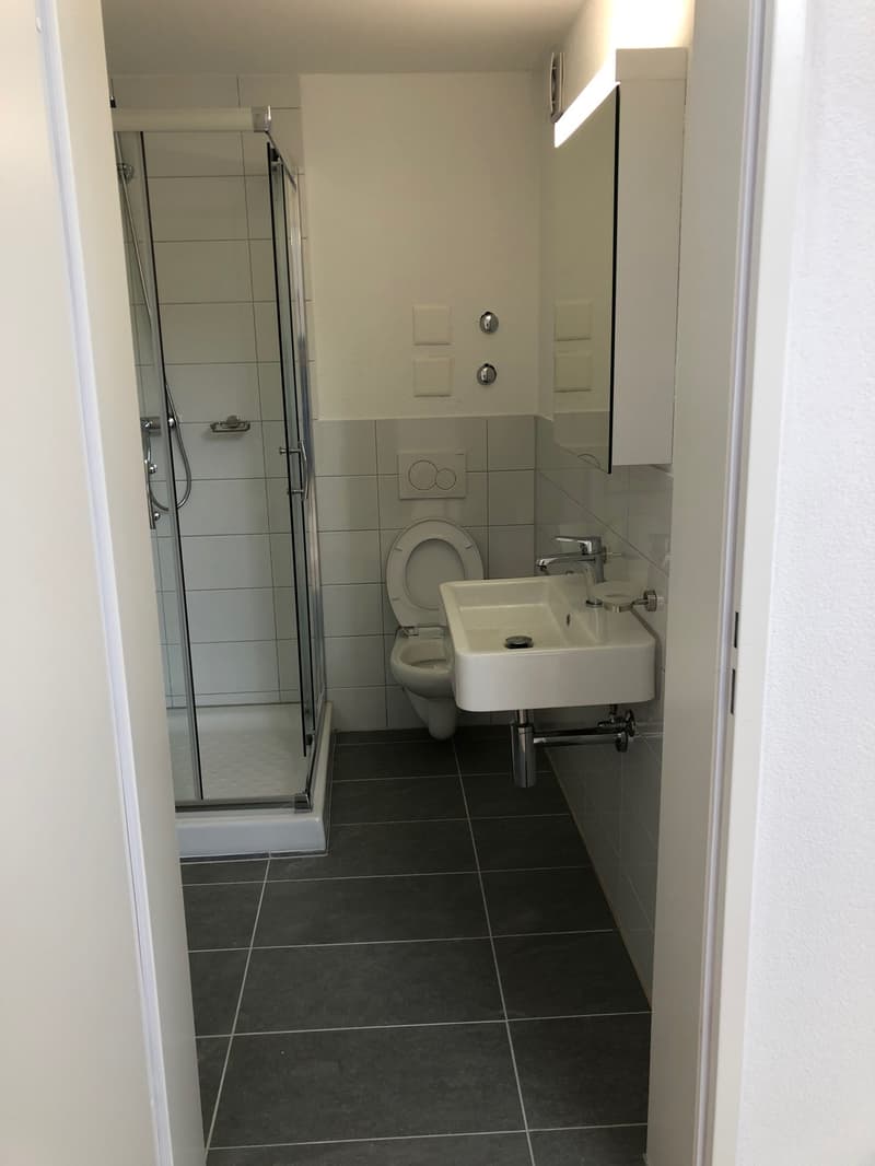 Moderne 4.5-Zimmer-Maisonette-Wohnung in Beinwil am See – sofort verfügbar (16)