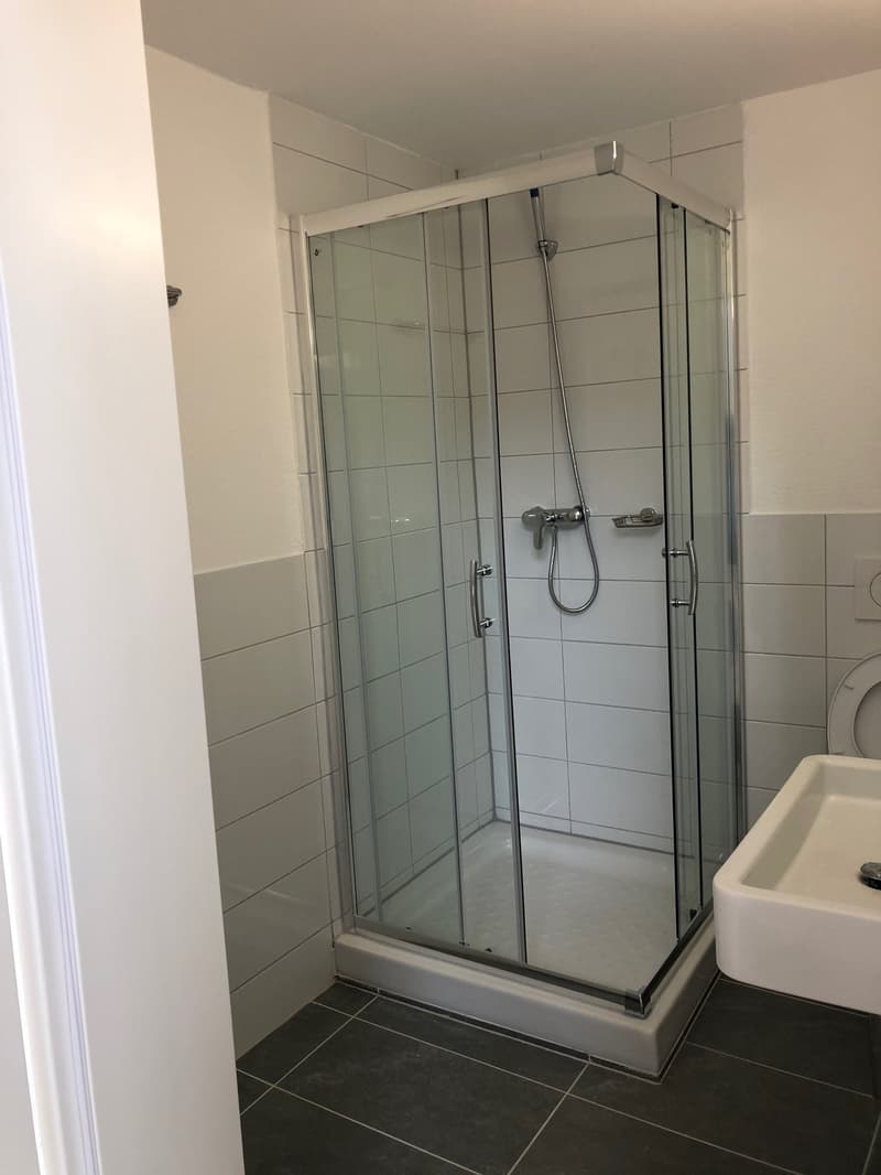 Moderne 4.5-Zimmer-Maisonette-Wohnung in Beinwil am See – sofort verfügbar (17)
