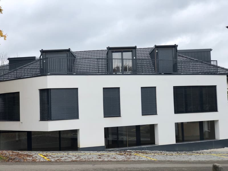 Moderne 4.5-Zimmer-Maisonette-Wohnung in Beinwil am See – sofort verfügbar (21)