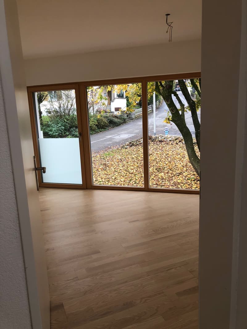 Moderne 4.5-Zimmer-Maisonette-Wohnung in Beinwil am See – sofort verfügbar (15)