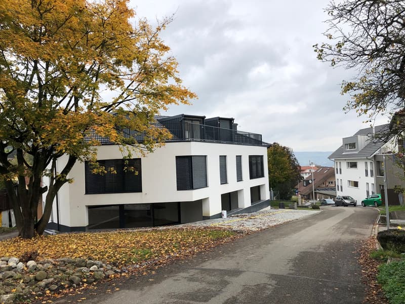 Moderne 4.5-Zimmer-Maisonette-Wohnung in Beinwil am See – sofort verfügbar (19)