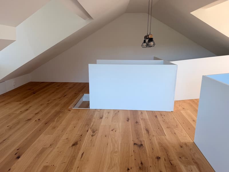 Moderne 4.5-Zimmer-Maisonette-Wohnung in Beinwil am See – sofort verfügbar (4)