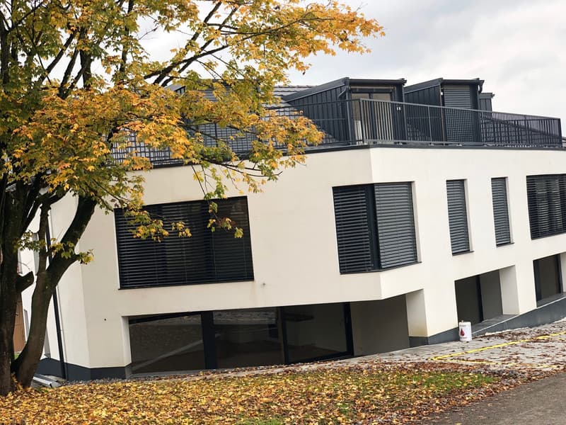 Moderne 4.5-Zimmer-Maisonette-Wohnung in Beinwil am See – sofort verfügbar (20)