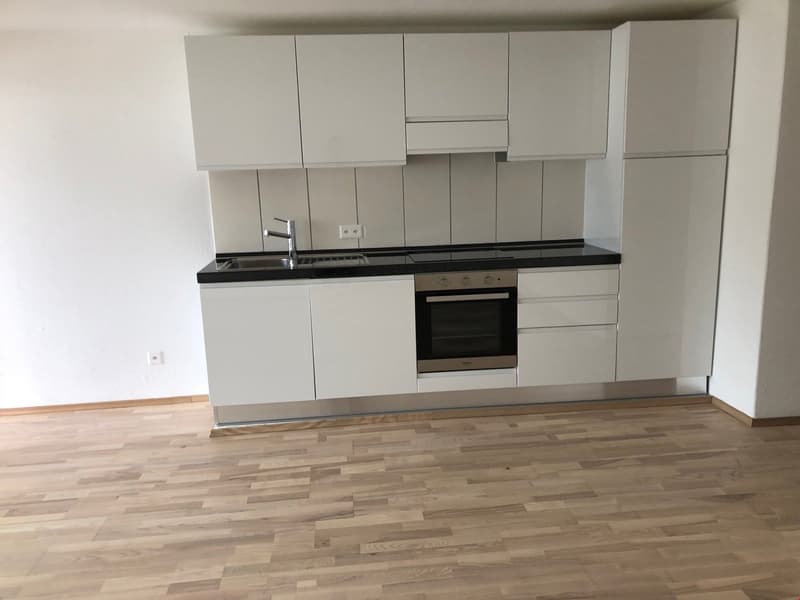 Moderne 2.5-Zimmer-Wohnung mit Balkon in Beinwil am See – sofort verfügbar! (4)