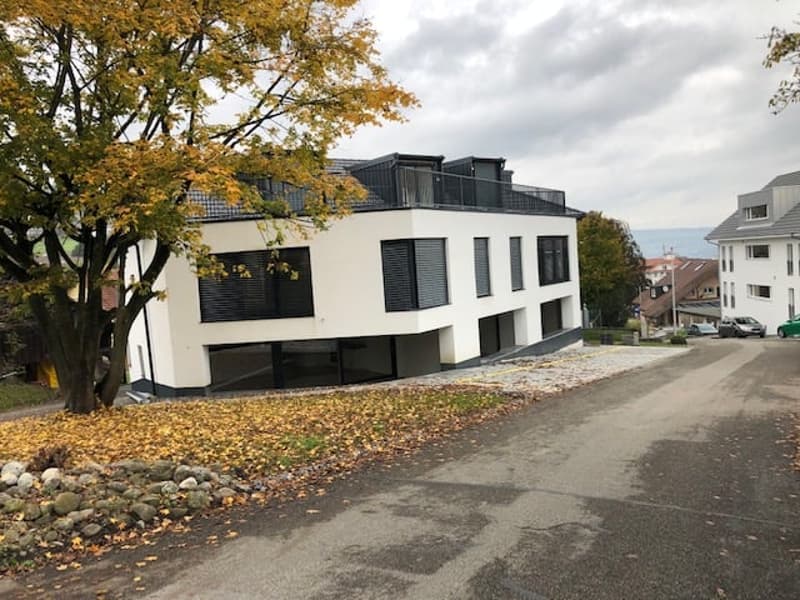 Moderne 2-Zimmer-Wohnung mit Balkon in Beinwil am See – ab sofort verfügbar (24)