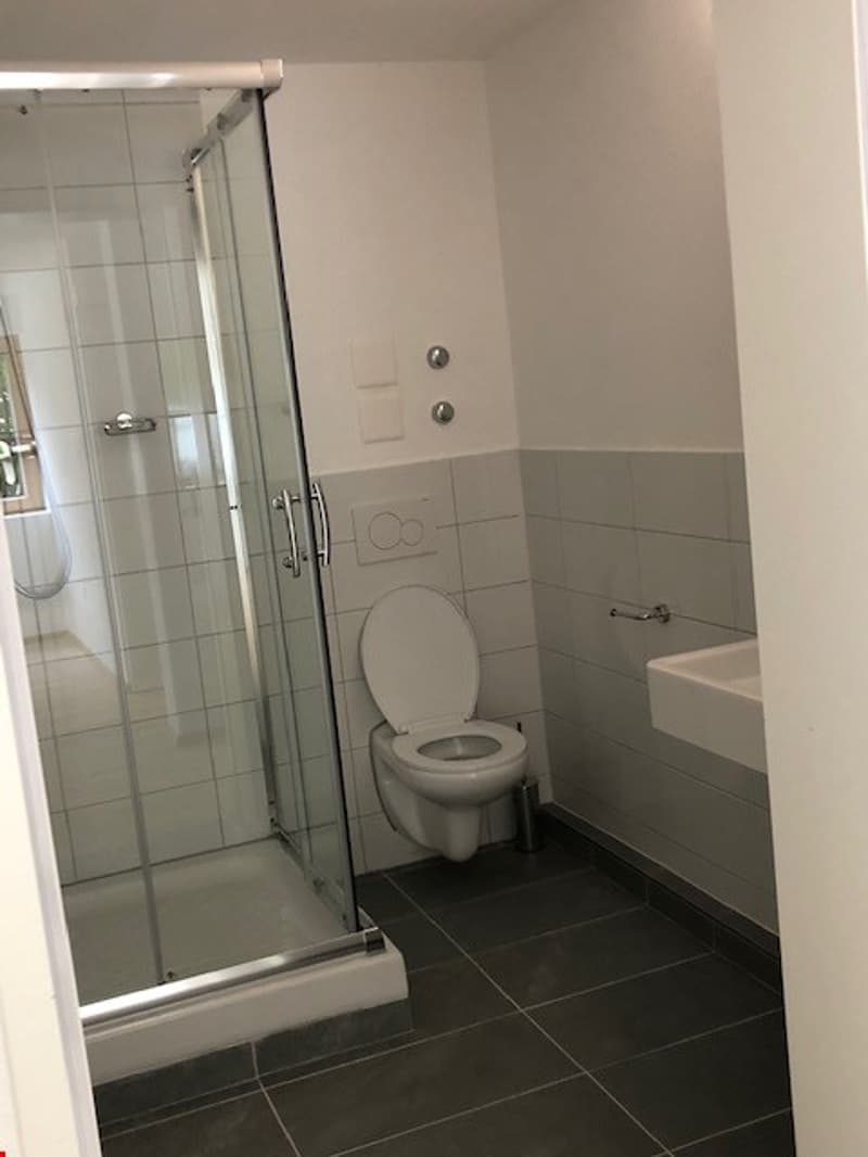 Moderne 2-Zimmer-Wohnung mit Balkon in Beinwil am See – ab sofort verfügbar (10)