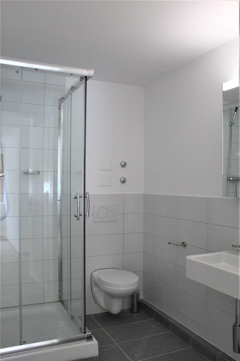 Moderne 2-Zimmer-Wohnung mit Balkon in Beinwil am See – ab sofort verfügbar (16)