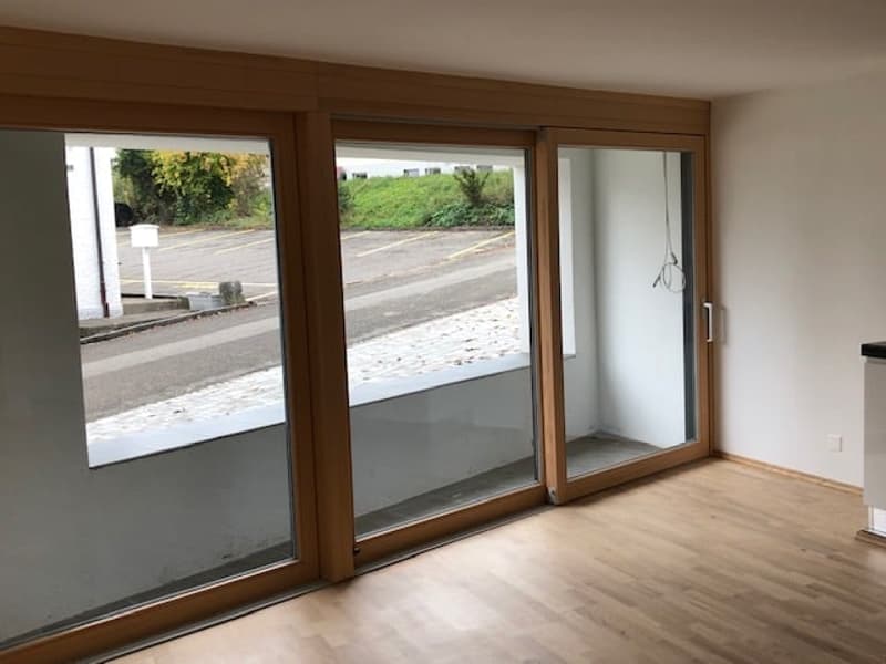 Moderne 2-Zimmer-Wohnung mit Balkon in Beinwil am See – ab sofort verfügbar (21)