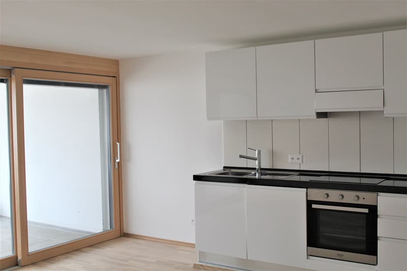 Moderne 2-Zimmer-Wohnung mit Balkon in Beinwil am See – ab sofort verfügbar (13)