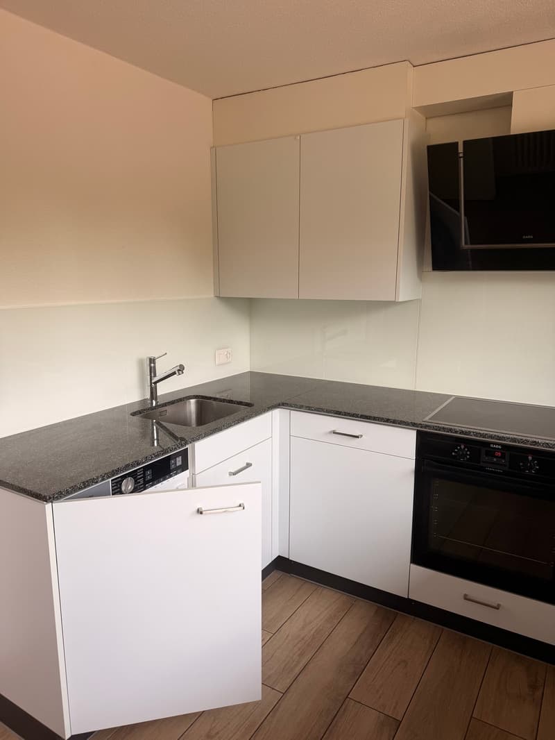 Charmante 3.5-Zimmer-Wohnung mit Balkon und schöner Aussicht in Luzern (8)