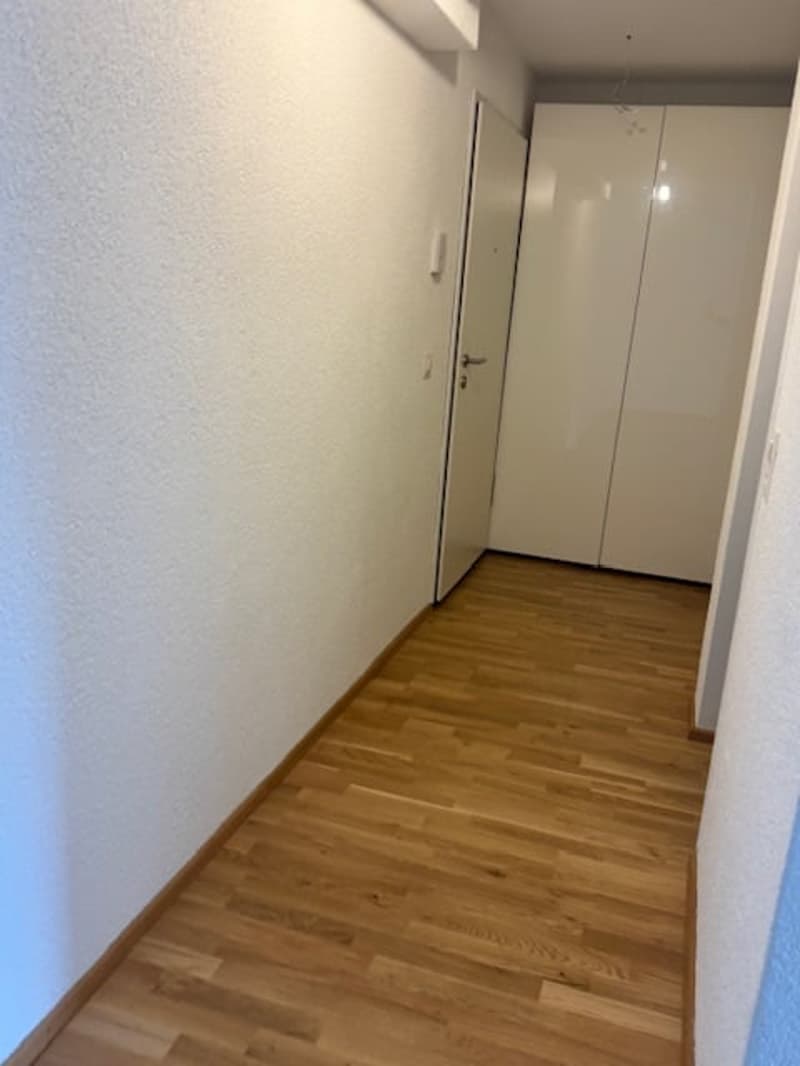 A hallway with wooden floors and white walls, there is a white door and white cabinets on the right.