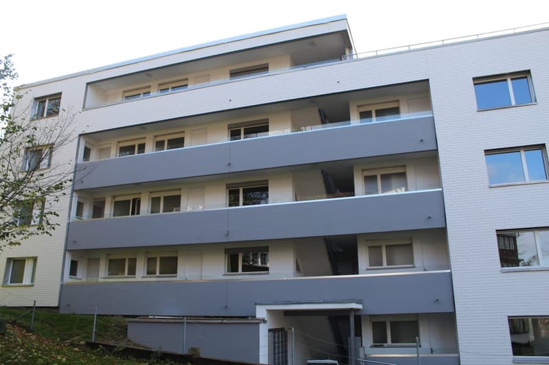 Gemütliches 1-Zimmer-Apartment mit Balkon in Wattwil – sofort verfügbar (9)