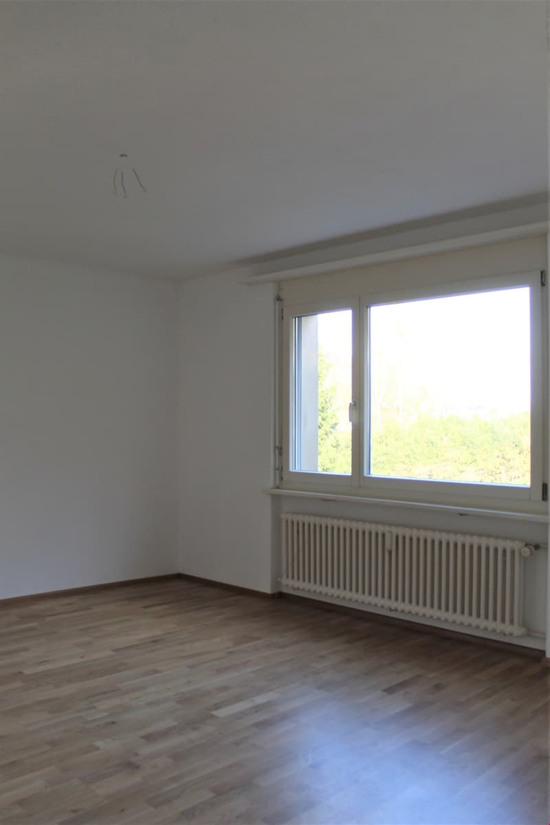 Moderne 1.5-Zimmer-Wohnung mit Balkon in Wattwil (2)