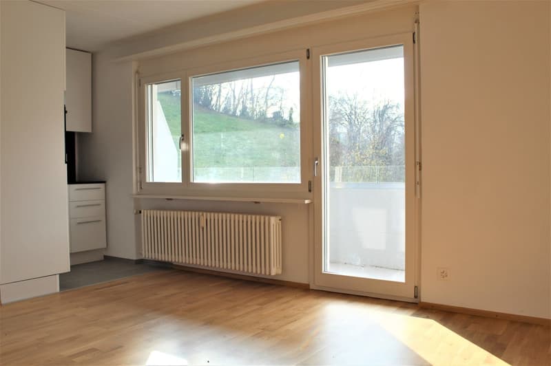 Gemütliches 1-Zimmer-Apartment mit Balkon in Wattwil – sofort verfügbar (3)