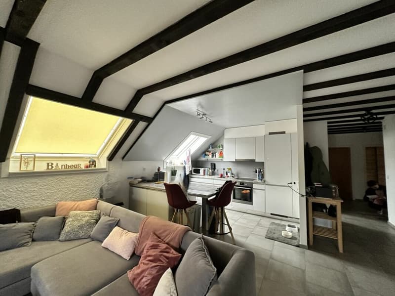 Appartement de 5 pièces avec cheminée au 3e étage (3)