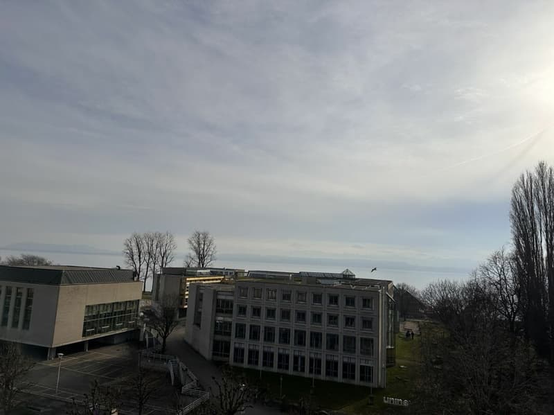 Magnifique appartement de 6 pièces au dernier étage d'un immeuble de caractère - Rue Edouard-Desor 3 à Neuchâtel (10)