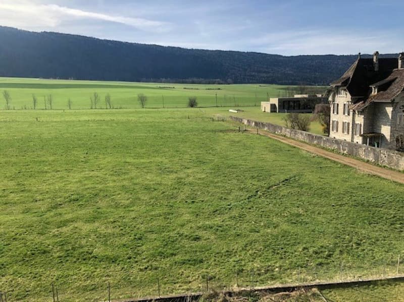 Appartement de 4.5 pièces au 1er étage - Ruz Chasseran 3, Dombresson (2)