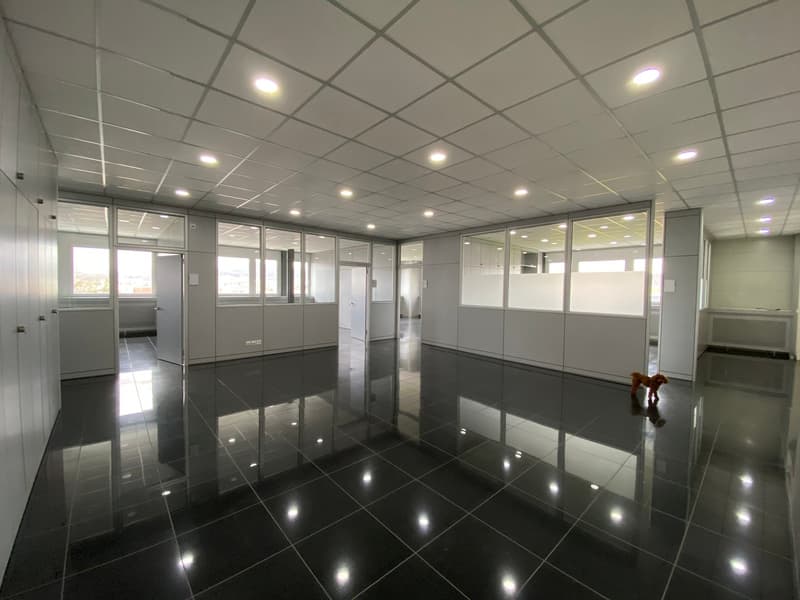 Open space office room, black tiles flooring, white ceiling with embedded lights, glass walls