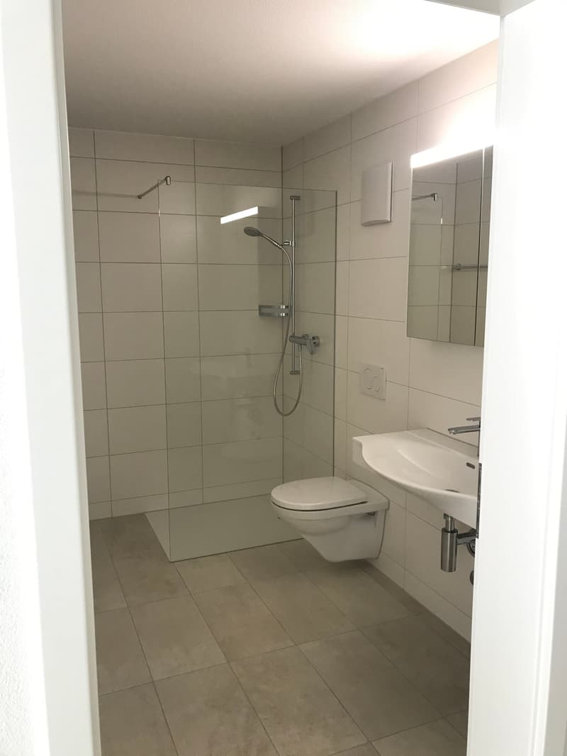 modern bathroom with white tiles, glass shower enclosure, white toilet, white sink, mirror