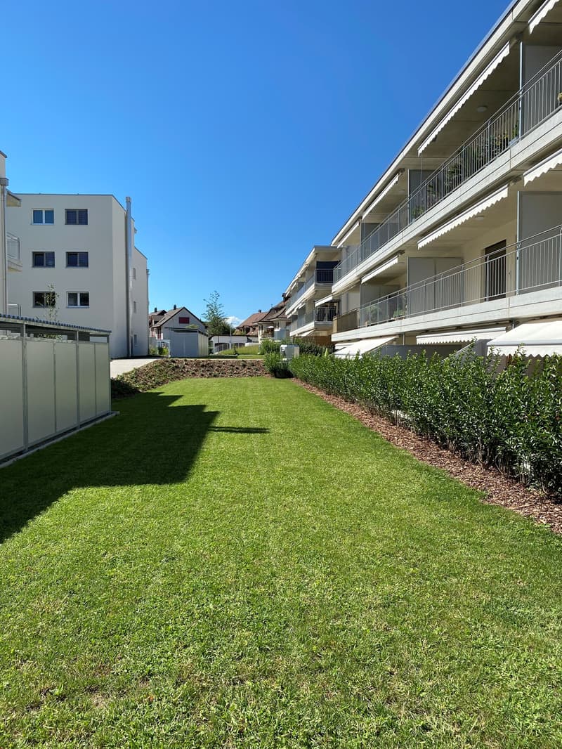 large green lawn, hedges, buildings in the background