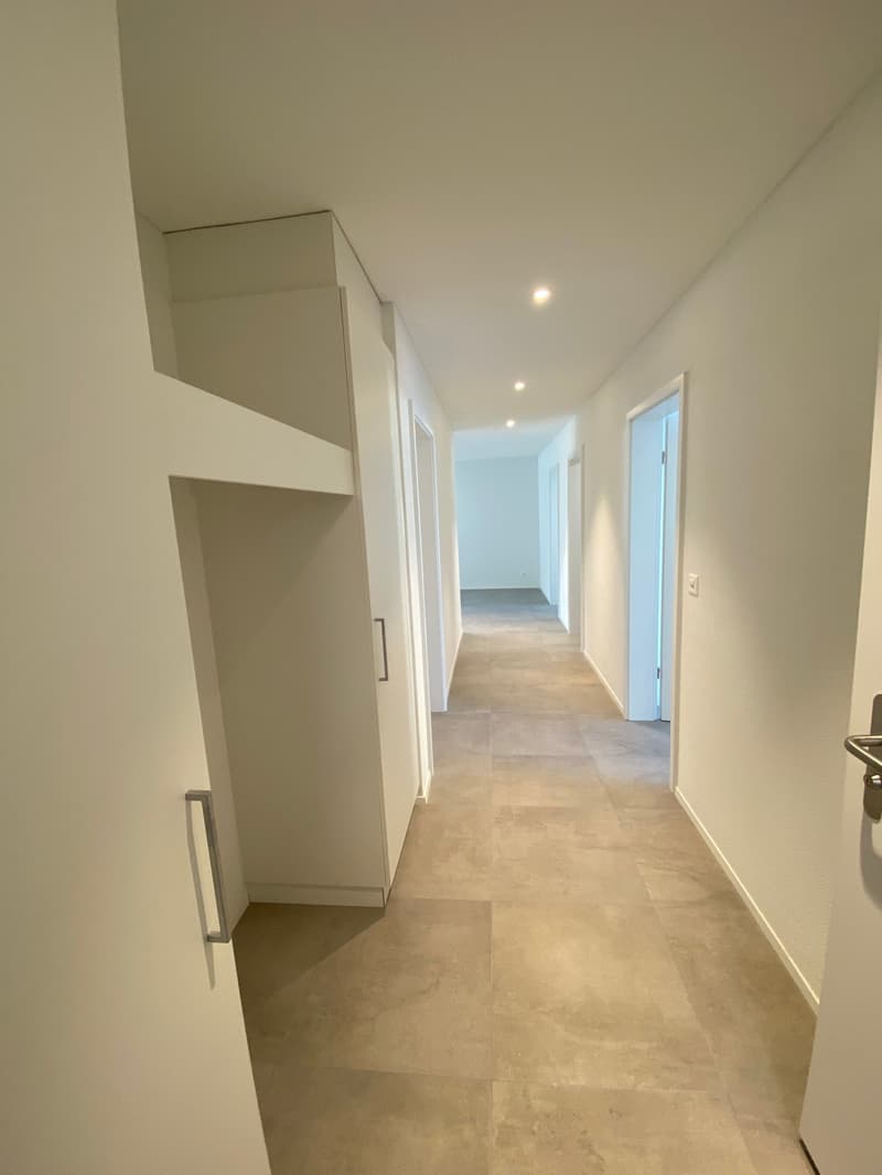 Moderne 4.5-Zimmer-Wohnung im Herzen von Flüh (5)
