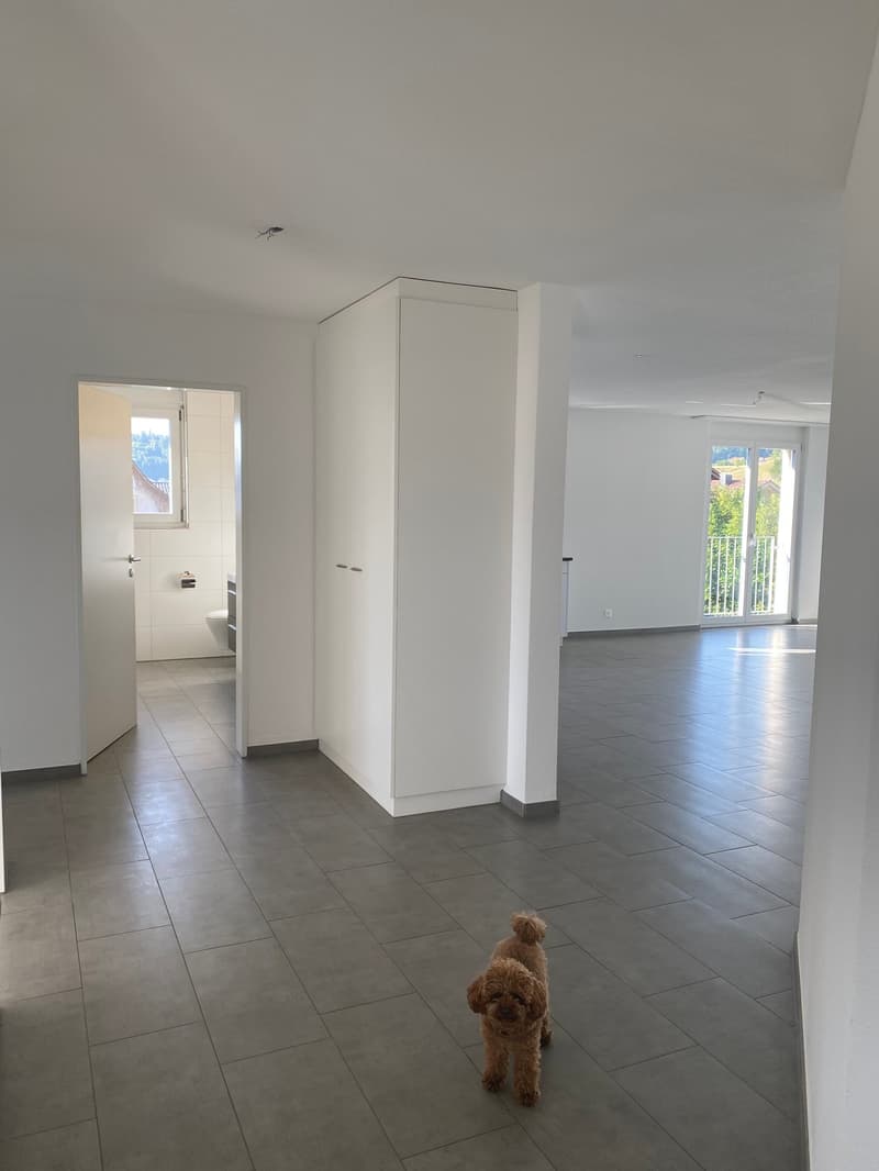 Moderne 3.5-Zimmer-Gartenwohnung mit grossem Sitzplatz (10)