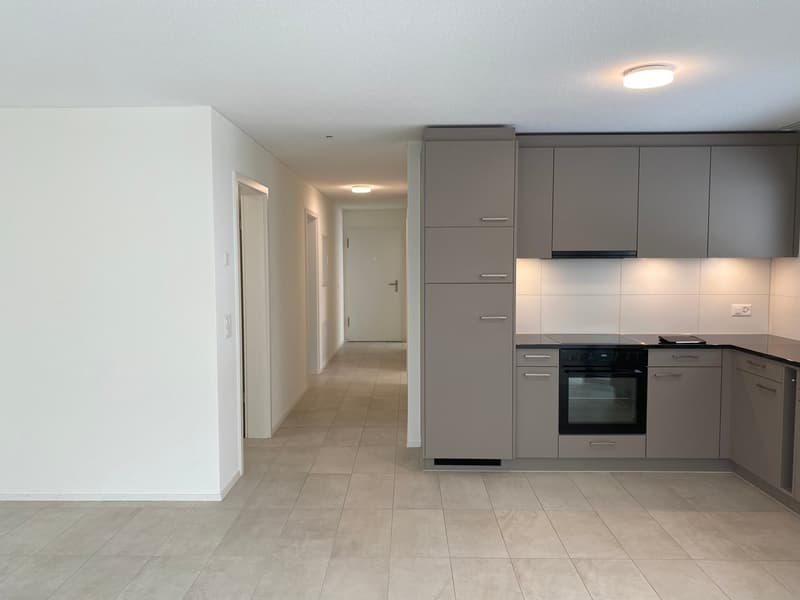 3.5 Zimmer Attika Wohnung (7)