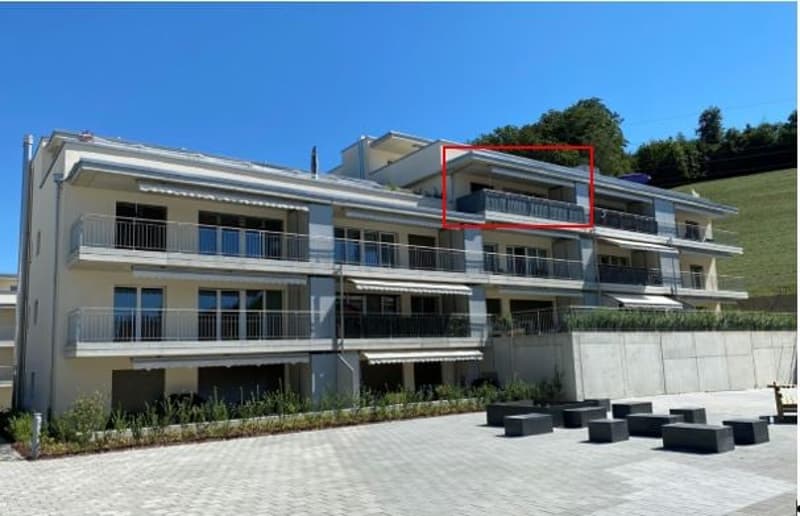 Moderne 2.5-Zimmer-Wohnung mit Balkon in Safenwil (1)