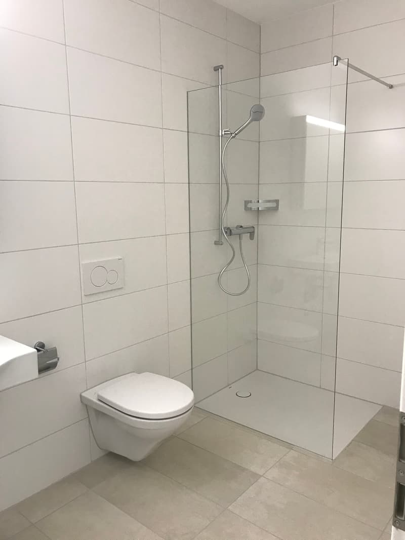 Moderne 2.5-Zimmer-Wohnung mit Balkon in Safenwil (10)