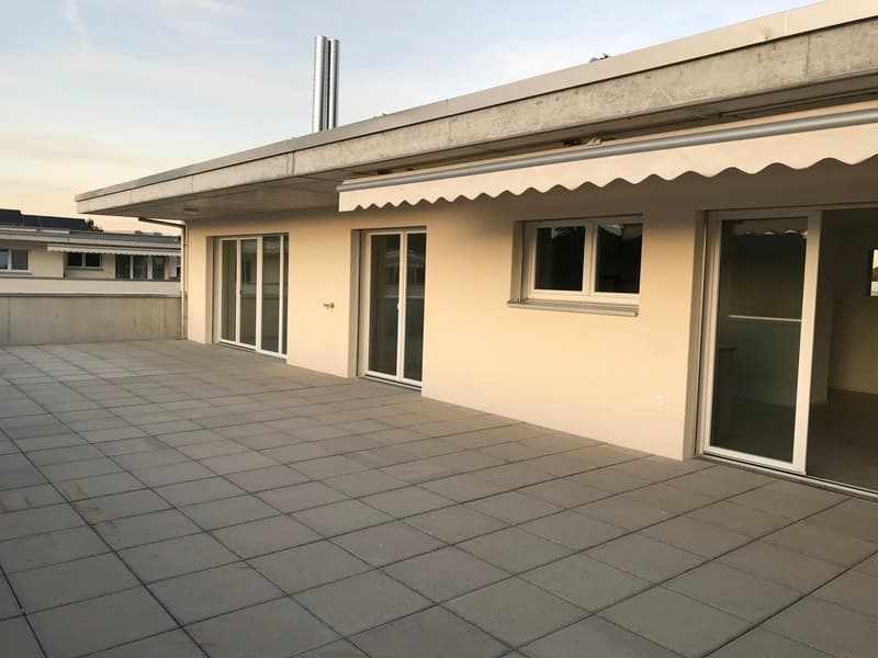 4.5 Zimmer Attika Wohnung (2)