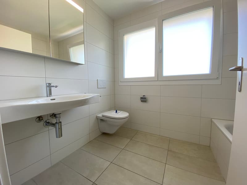 4.5 Zimmer Attika Wohnung (11)