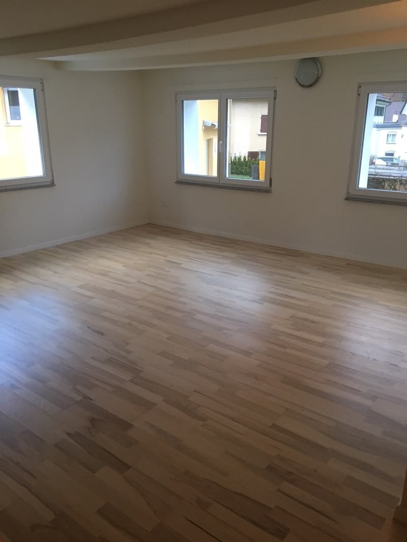 Schöne Aussicht von dem hellen Raum ins Grüne