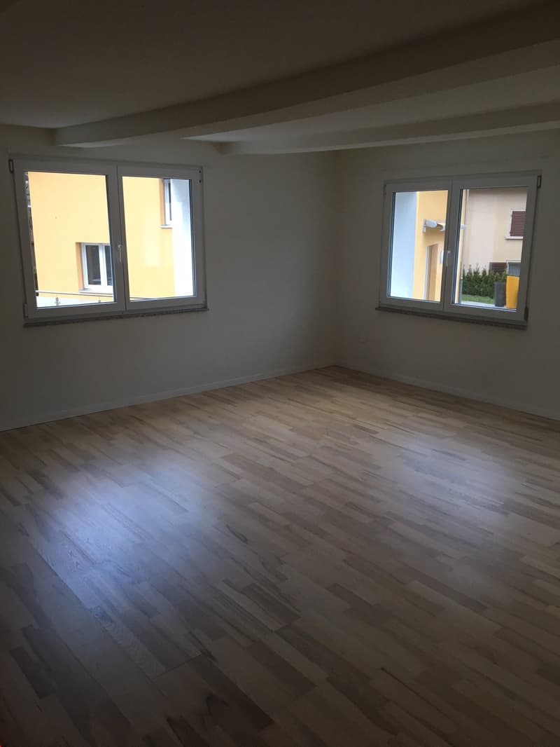 Hübsches, helles und grosszügiges Wohnzimmer