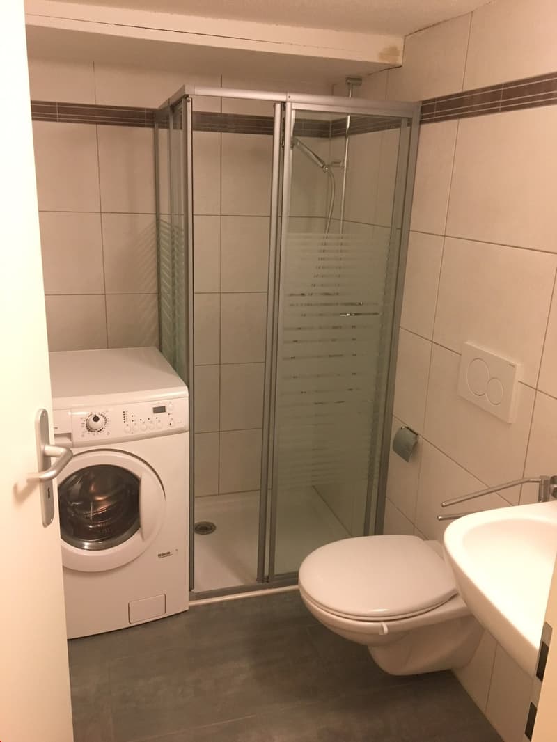 Modernes Badezimmer mit eigener Waschmaschine