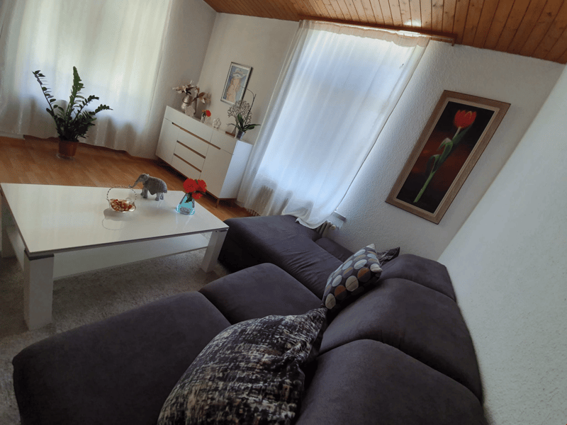 Helles und geräumiges Wohnzimmer