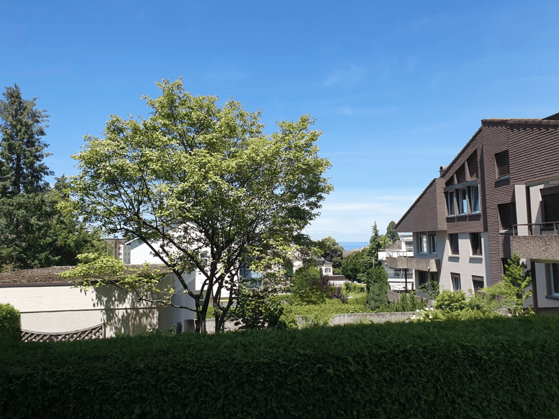 Schöner Ausblick ins Quartier direkt von den Zimmerfenstern