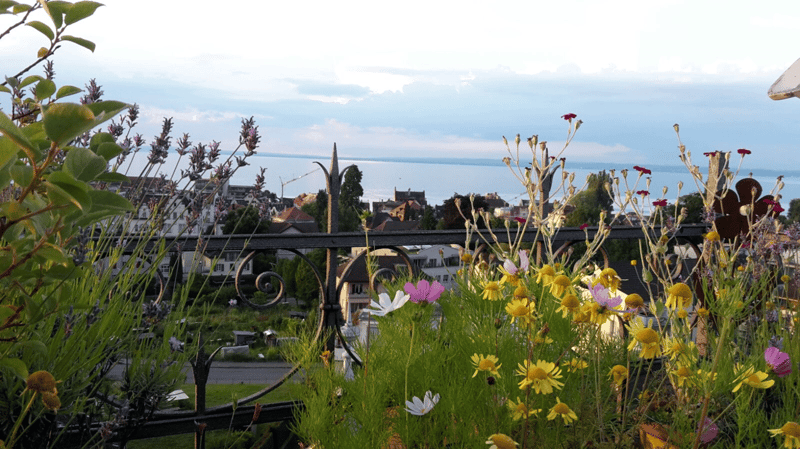 Tolle Aussicht von der Dachterrasse
